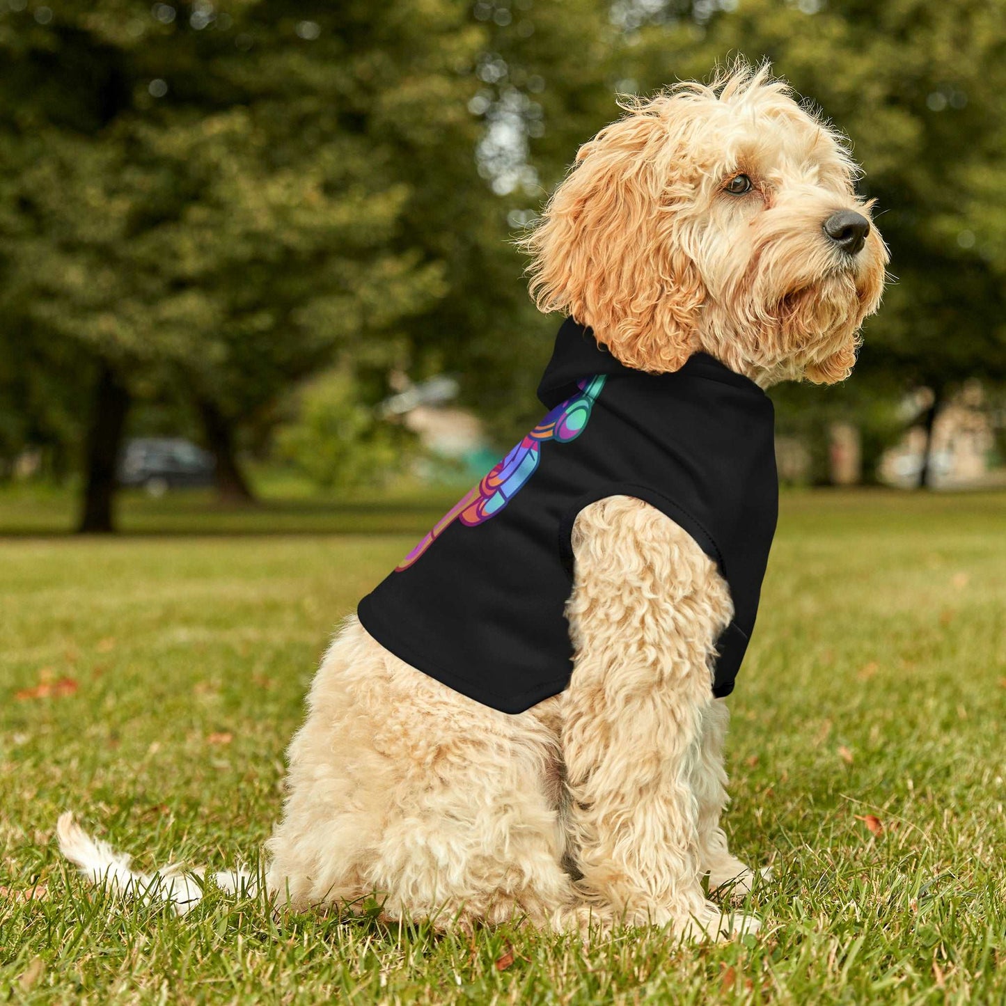 Pet Hoodie | Progress Astronaut